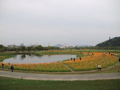 -径山花海