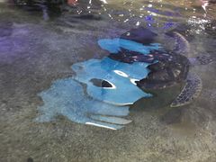 -鸿通城购物中心