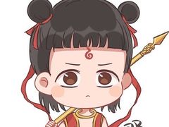 -野妹经典火锅(江夏中百店)