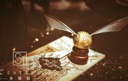 -圣塔拉 宝宝宴生日Party气球派对一站式高端策划