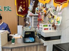 -半岛宠物医院24小时·内窥镜·牙科·碎石中心(府城大道店)