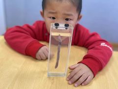 -斯坦星球AI编程·机器人科创·科学实验·信奥·思维·STEM·乐高·竞赛考级(长宁虹桥大融城荟聚中心)