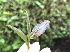 -百翠山居.家飨餐厅