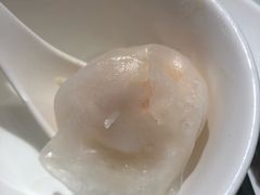 -南枝记