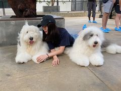 -TrueLove @ Neverland (Husky Cafe)