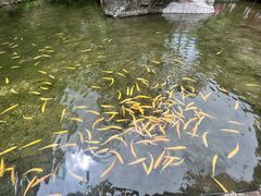 -本溪关山湖风景区