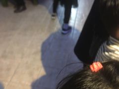 -上海大自然野生昆虫馆(东方明珠·爬宠昆虫探索中心)
