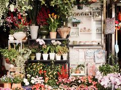 -溪岸路花鸟市场