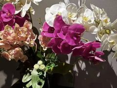 -泰合玺·精油疗愈SPA(南京新街口金轮店)