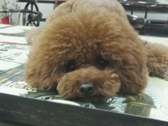 -6号玩家桌游吧(汉街店)