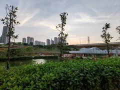-那考河湿地公园