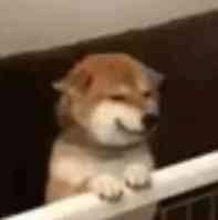 -Siam泰餐厅(水上公园店)