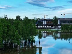 -白鹭湾湿地公园