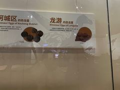 -衢州市博物馆