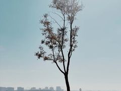 -滴水湖