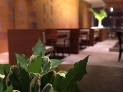 -北京柏悦酒店·锦庭餐厅Dining Room