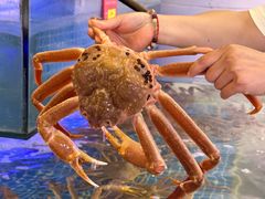 -驻海渔市(置信店)