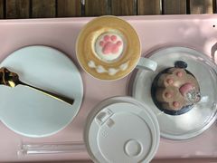 -喵屿·大理花园猫咖