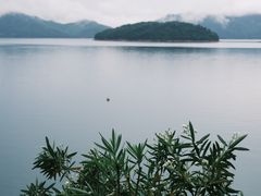 -逸廊大堂吧-下午茶·简餐-千岛湖自由洲际殿