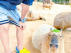 -郑州银基国际旅游度假区