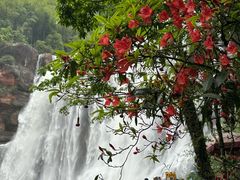 -赤水丹霞旅游区·大瀑布