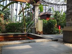 -瑞阁温泉酒店温泉中心