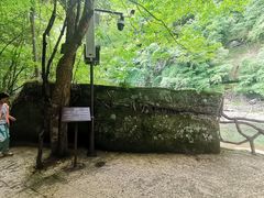 -黎坪国家森林公园