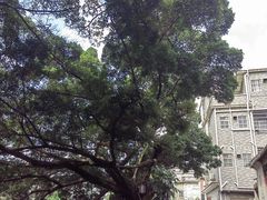 -黄埔古港