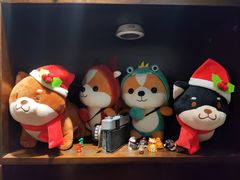 -逗柴咖啡屋·狗咖猫咖宠物桌游