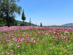 -南北湖风景区
