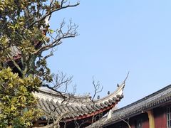 -龙华寺