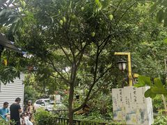 -晓雯人家