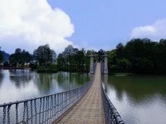 -东湖落雁景区