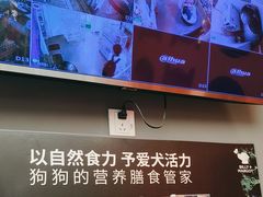 -宠物家(双井店)