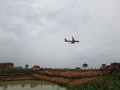 -空港花田景区