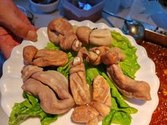 -二荆条·蜀鲜汇城市森林火锅