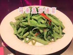 -新越盏·东南亚料理(捷登都会店)