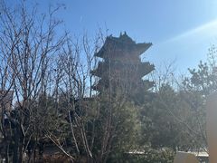 -迎泽公园