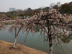 -白塘生态植物园