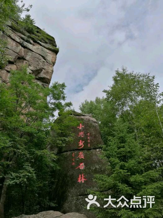 花岗岩石林国家地质公园图片