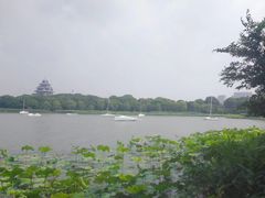 -金鸡湖桃花岛