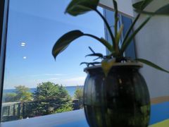 -了不起的考拉咖啡店(高新店)