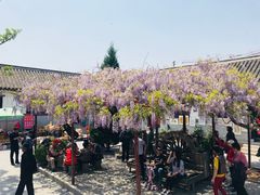 -牟氏庄园