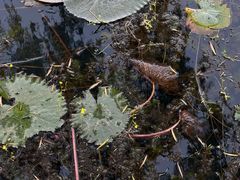 -南国桃园旅游度假区