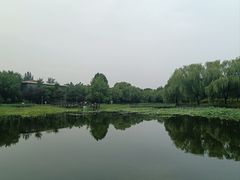 -望湖公园