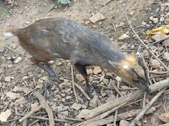 -昆明动物园