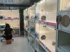 -lincat·猫舍(广州店)