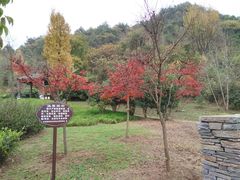 -贵阳市花溪国家城市湿地公园