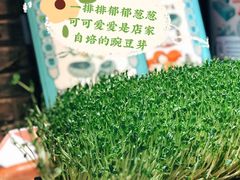 -福照楼汽锅鸡·云南特色菜(万达广场店)