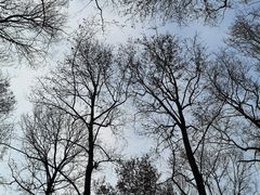 -东湖磨山景区